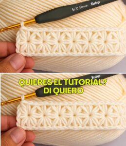 Lee más sobre el artículo mira este punto paso a paso me encanta