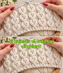 Lee más sobre el artículo Mira y aprende a tejer este hermoso punto